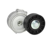 Tensor de correa, correa poli V SKF VKM 33320