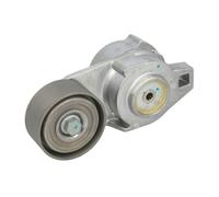 Tensor de correa, correa poli V SKF VKMCV 53003