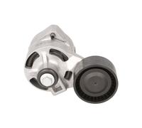Rodillo tensor de la correa trapezoidal GA352.71 SNR para FORD TRANSIT Autobús