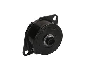 Tensor de correa, correa poli V SWAG 30 93 0989