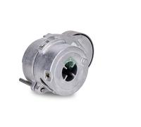 Tensor de correa, correa trapezoidal con nervios INA 534 0116 20 para OE 078903
