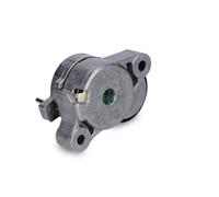Tensor de correa, correa trapezoidal con nervios INA 534 0396 10 para OE 03C145