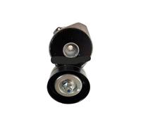 Tensor de correa de distribución para Land Rover Discovery 2 Serie II (1998-2004) y Defender (1987-2006) ERR6951