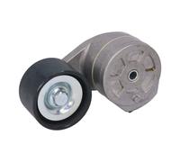 BTA B05-AG-005 Brazo tensor, correa poli V
