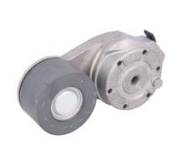 DAYCO Tensor de correa poli V