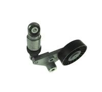 Tensor de la correa trapezoidal 160089711 AUTOMEGA para OPEL SAAB
