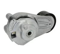 Brazo tensor, correa en V BTA 534 0183 10