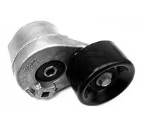Tensor de la correa trapezoidal acanalada 05408 Metalcaucho para FORD