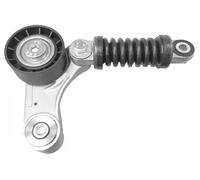 Tensor de la correa trapezoidal acanalada 05484 Metalcaucho para RENAULT VOLVO