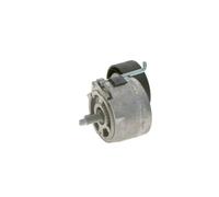 BOSCH Tensor de correa, correa poli V para FIAT: Punto, Linea, Qubo, Fiorino & SUZUKI: Swift, Splash, Ignis, Wagon R (Ref: 1 987 945 831)