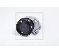 Tensor de la correa trapezoidal acanalada 100.133-00A PE Automotive
