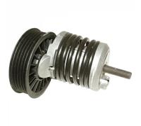 Tensor de la correa trapezoidal acanalada 1118200500 JP GROUP para AUDI VW