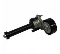 Tensor de la correa trapezoidal acanalada 1118204300 JP GROUP para VW SEAT SKODA