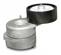Tensor de la correa trapezoidal acanalada 1218201500 JP GROUP para OPEL FIAT