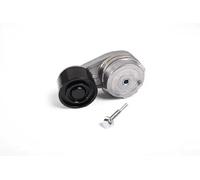 Tensor de la correa trapezoidal acanalada 140.376-00A PE Automotive