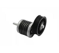 Tensor de la correa trapezoidal acanalada 19030026801 vika para AUDI VW
