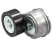 INA 534 0451 10 Tensor de correa poli V