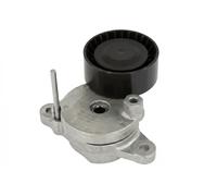 Tensor de la correa trapezoidal acanalada 534 0795 10 INA para PEUGEOT CITROËN