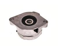 Tensor de la correa trapezoidal acanalada 54-0052 MAXGEAR para AUDI VW SEAT FORD