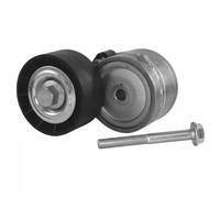 Tensor de la correa trapezoidal acanalada APV1000 DAYCO para FIAT ALFA ROMEO