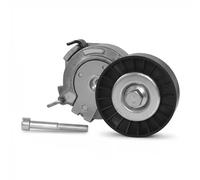 Tensor de correa, correa poli V DAYCO APV1002