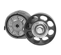 DAYCO Tensor de correa poli V