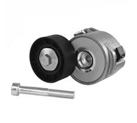 Dayco APV1156 Tensor de Correa, Correa Poli V