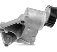 Tensor de la correa trapezoidal acanalada APV2268 DAYCO para FORD FOCUS I