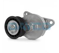 DAYCO Polea tensora, correa auxiliar servicios para FORD: Focus, Cougar, Mondeo, Connect, Maverick & MAZDA: Tribute (Ref: APV2313)
