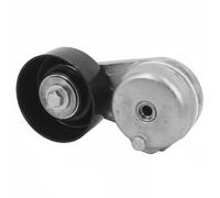 DAYCO APV2447 Tensor de Correa, Correa Poli V