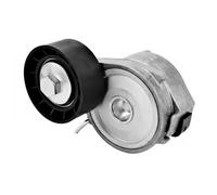 Tensor de la correa trapezoidal acanalada APV2556 DAYCO para PEUGEOT CITROËN DS