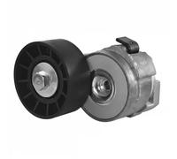 Tensor de la correa trapezoidal acanalada APV2697 DAYCO para IVECO
