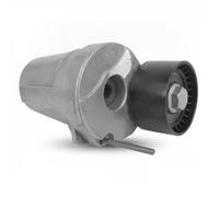 Dayco Tensor de correa APV2768 para correa poli V