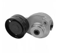 Tensor de correa, correa poli V DAYCO APV2813