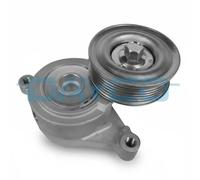 Dayco apv3005 Tensor de correa, - Correa de transmisión