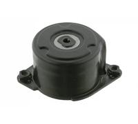 Tensor de la correa trapezoidal acanalada automático 20 92 7373 SWAG para BMW 7