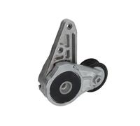 Tensor de la correa trapezoidal acanalada E3G0005BTA BTA para FORD VOLVO