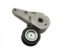Tensor de la correa trapezoidal acanalada FT44680 FAST para FORD VOLVO