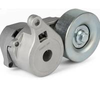 HERTH+BUSS JAKOPARTS J1145094 Tensor de correa poli V