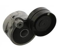 Tensor de la correa trapezoidal acanalada mecánico 30 93 8981 SWAG para AUDI VW