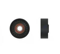Tensor de la correa trapezoidal acanalada RNK-CH-021 NTY para CHRYSLER