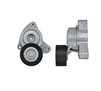 NTY RNK-HD-000 Tensor de correa poli V