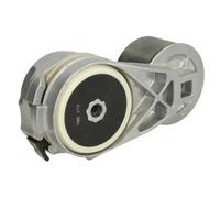 Tensor de la correa trapezoidal B05-AG-011 BTA para FORD USA