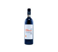 Tenuta Casenuove Chianti Classico 2021