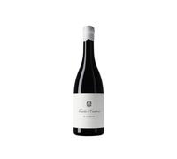 Tenuta di Carleone Il Guercio 2023