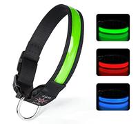 TENXSNUG Collar Luminoso Perros Recargable por USB Collar LED con 3 Modos de Iluminación para Perros Pequeños Medianos Grandes Que Caminan de Noche con Seguridad - Verde - M