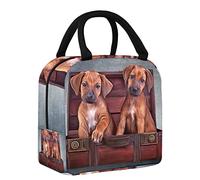 Teo Puppies in a Vintage Wooden Box Lunch Bag Tote Bag para mujer, bolsa térmica de gran apertura y aislamiento térmico, bolsa organizadora de almuerzo a prueba de fugas
