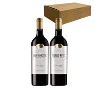Teófilo Reyes Edición Limitada Magnum - Ideal para Maridar con Carne y Comida Mediterránea - Pack 2 Botellas 75cl
