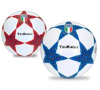 Teorema - Balón de fútbol, Talla 5, 280 g, PVC
