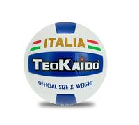 Teorema - Balón de Voleibol, tamaño 5, 280 g, diseño Exclusivo